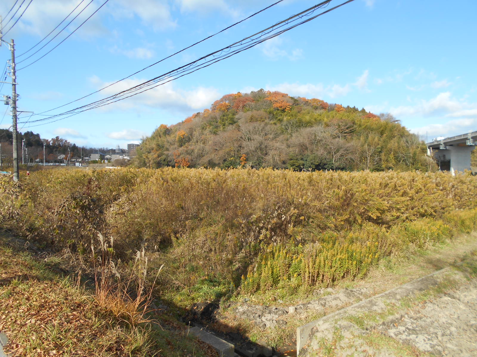 施工前 — 雑草が繁茂した休耕地